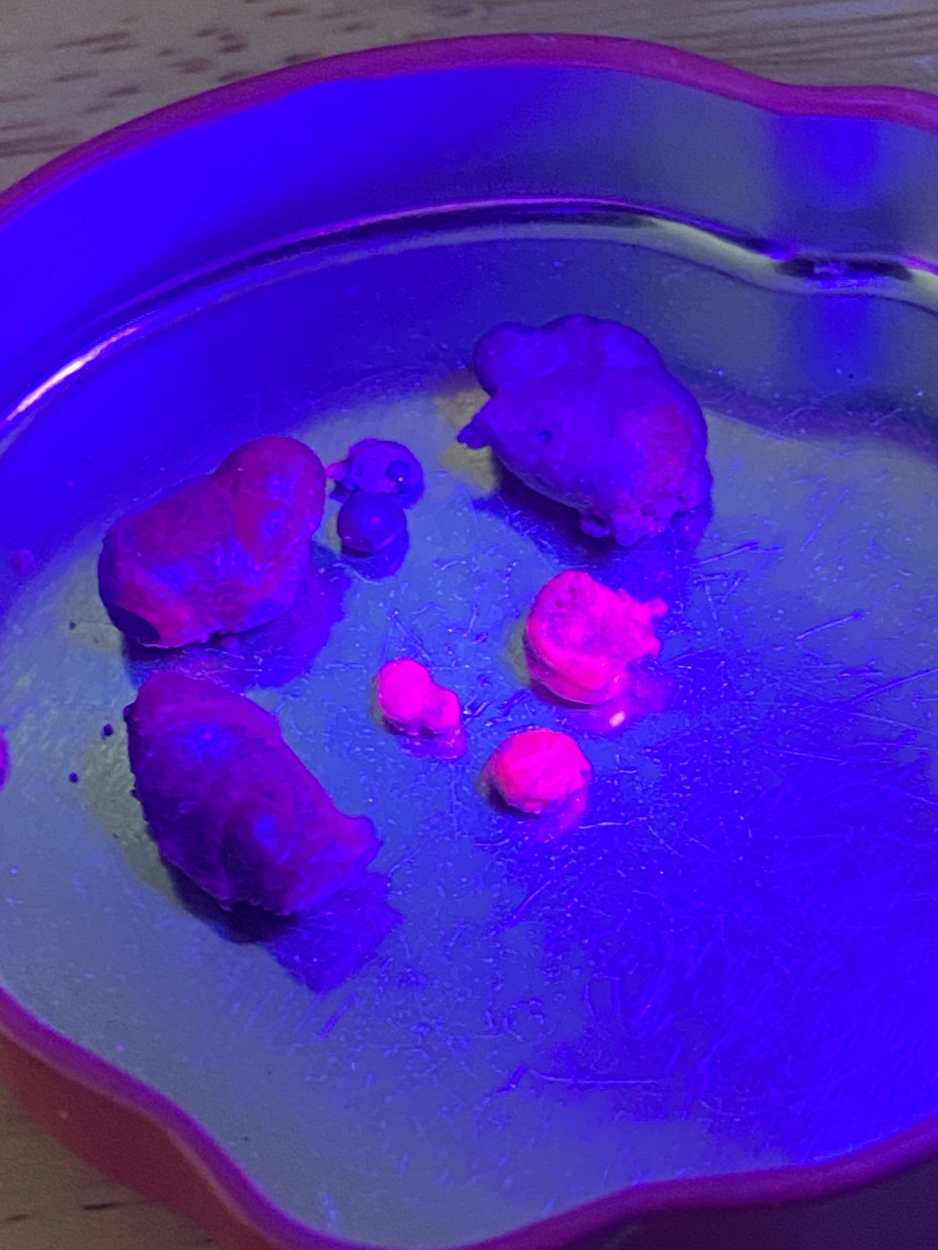 Synthetic ruby glowing under UV — vivid purple fluorescence